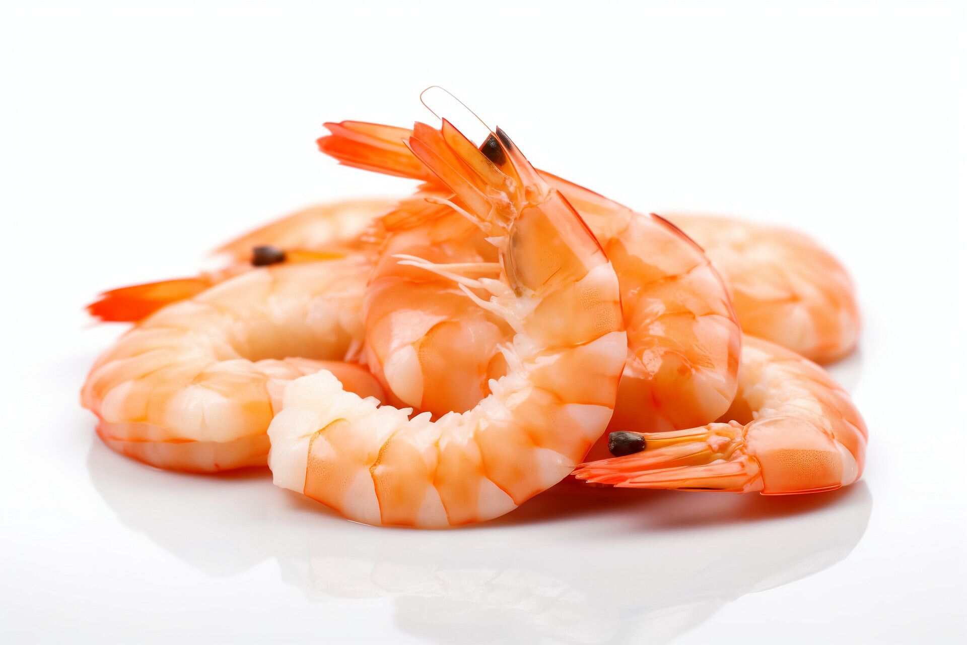 ,ݲѯ