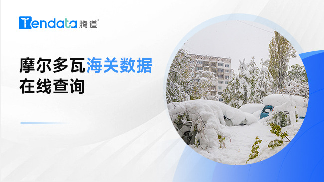 摩尔多瓦海关数据——在线查询