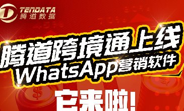 һ˶B-SportsWhatsAppӪֻ999Ԫ