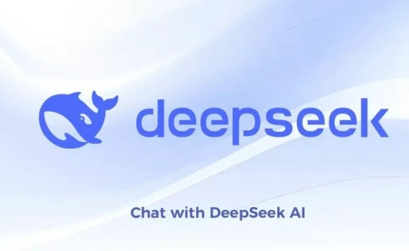 DeepSeek׼óͻó˽ղ